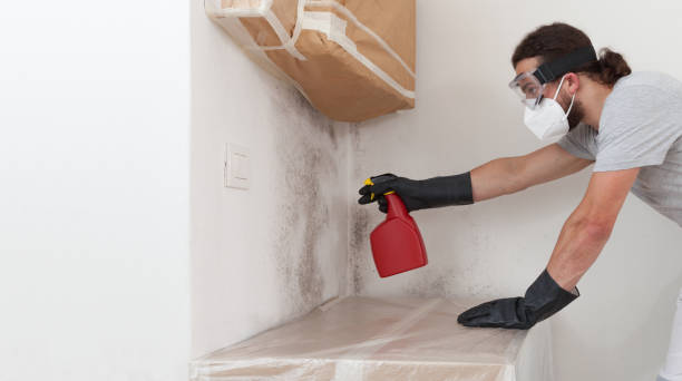 Professional Crawl Space Mold Remediation technician working in Macopin, NJ